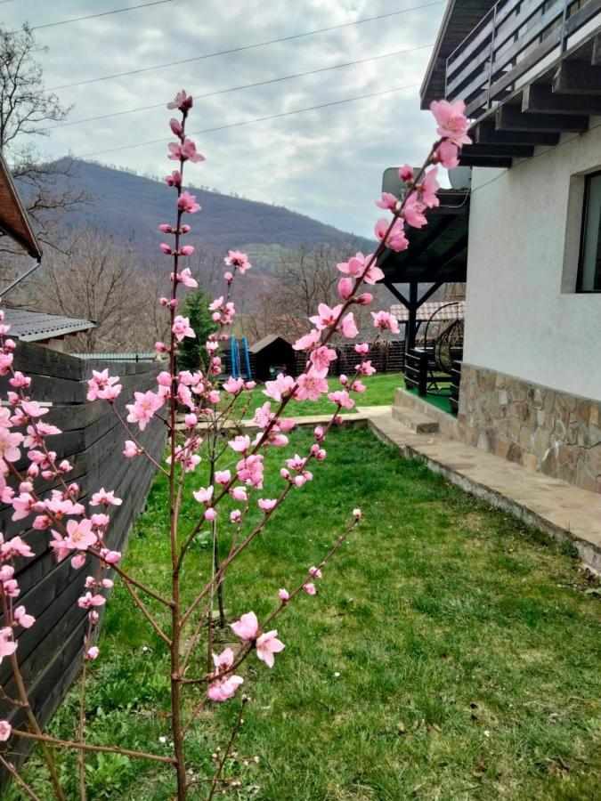 Vila Roxana Pangarati 외부 사진