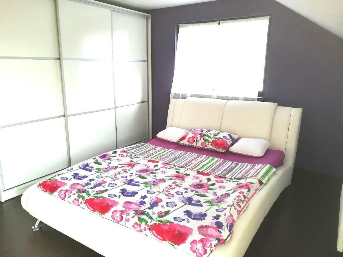 Vila Roxana Pangarati 외부 사진
